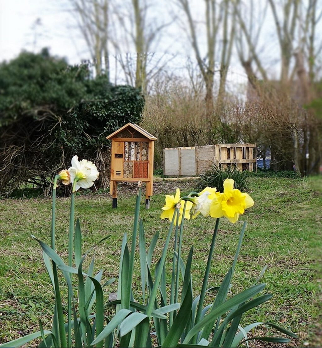 Carbon reduction programme delivers biodiversity at new headquarters