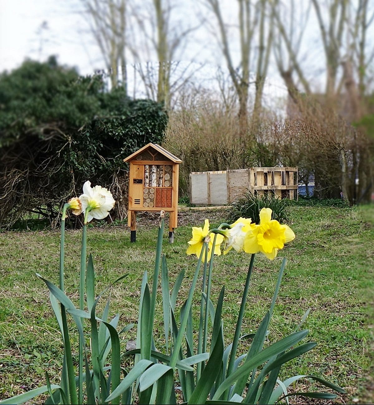 Grant UK promotes biodiversity at sustainability-focused HQ