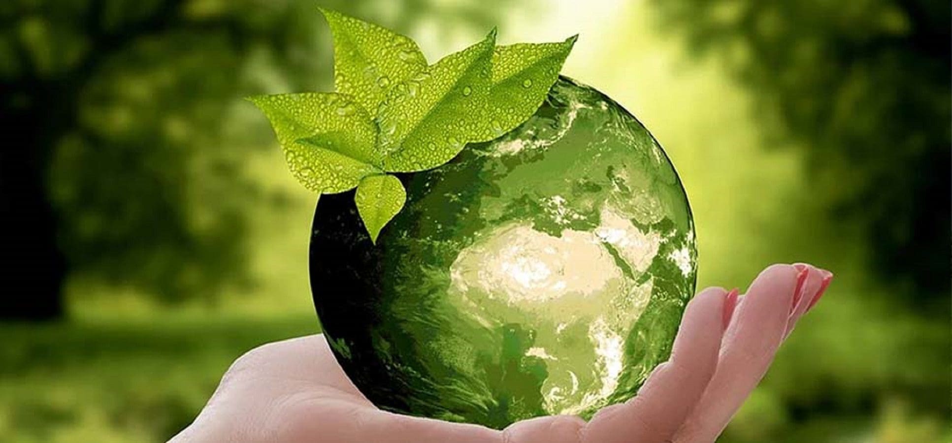 Boost for liquid fuel industry as OFTEC announces new publications with HVO guidance