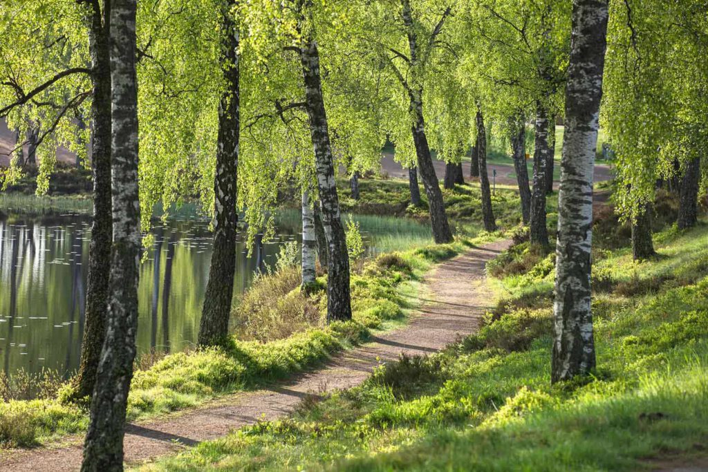 A closer look at why Ground Source Heat Pumps may be a strong candidate for future heat in off gas grid homes.